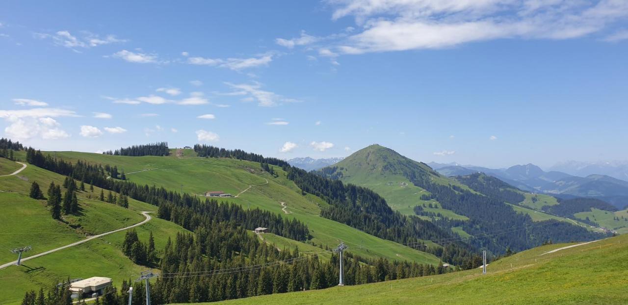 Ferienwohnung Sappl Scheffau am Wilden Kaiser Extérieur photo