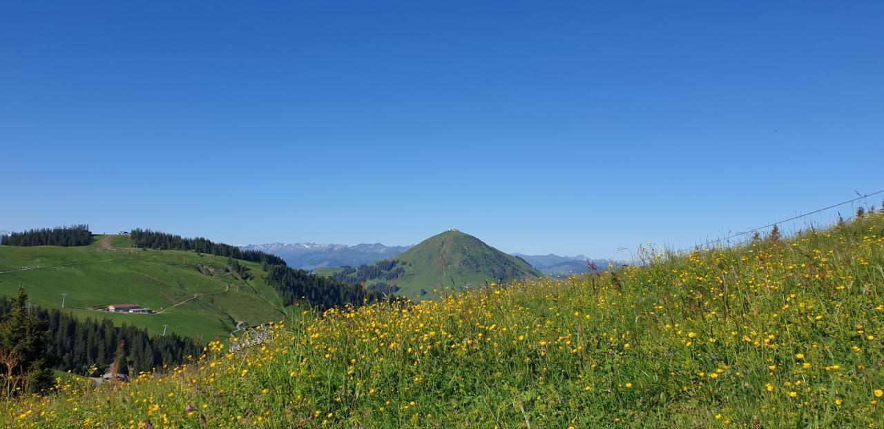 Ferienwohnung Sappl Scheffau am Wilden Kaiser Extérieur photo
