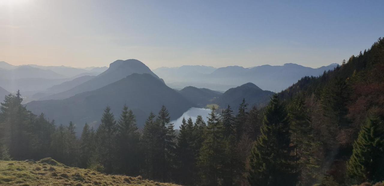Ferienwohnung Sappl Scheffau am Wilden Kaiser Extérieur photo