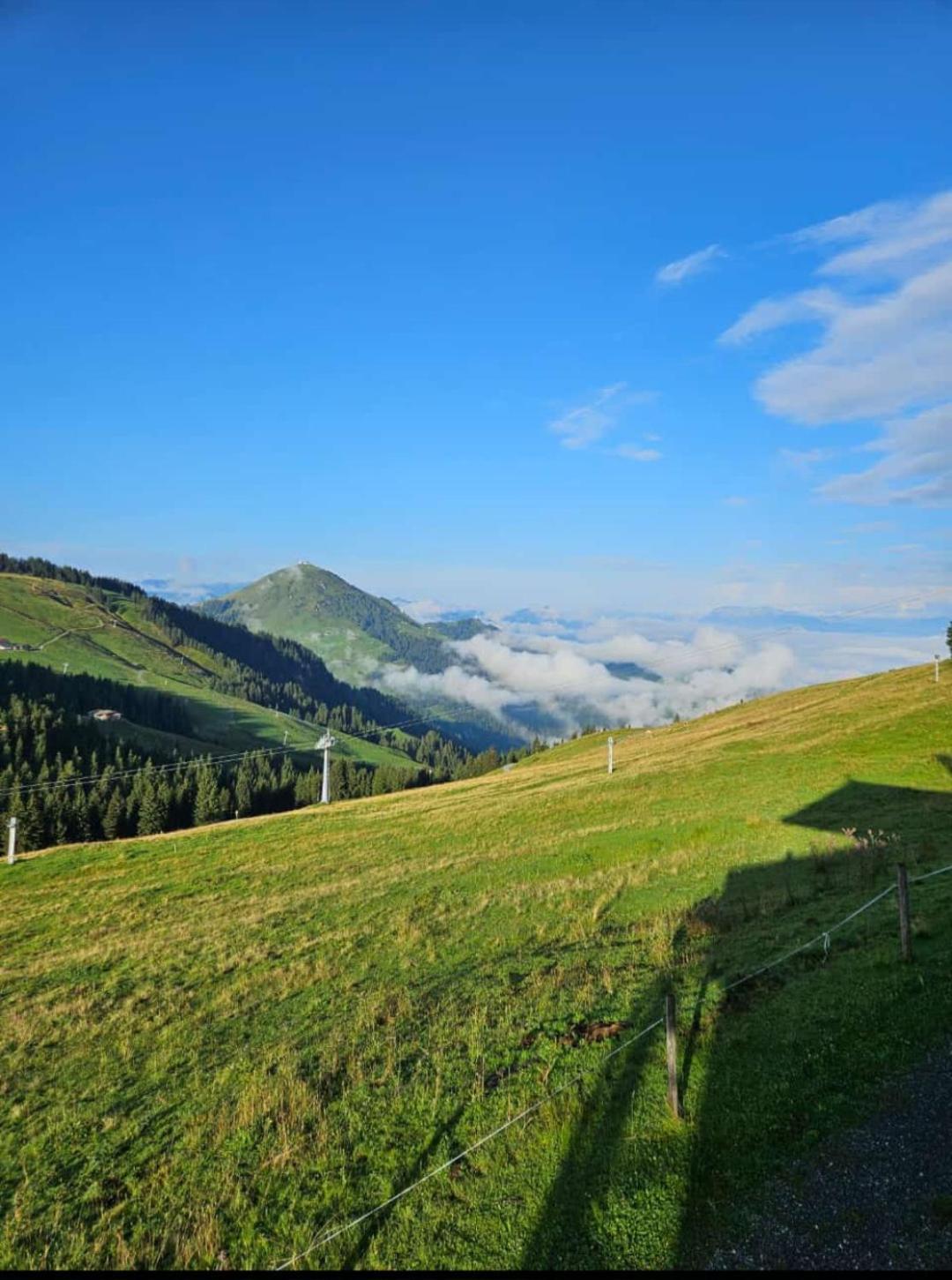 Ferienwohnung Sappl Scheffau am Wilden Kaiser Extérieur photo
