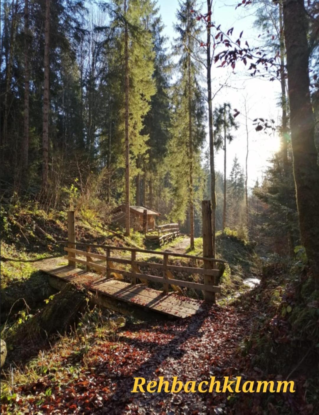 Ferienwohnung Sappl Scheffau am Wilden Kaiser Extérieur photo