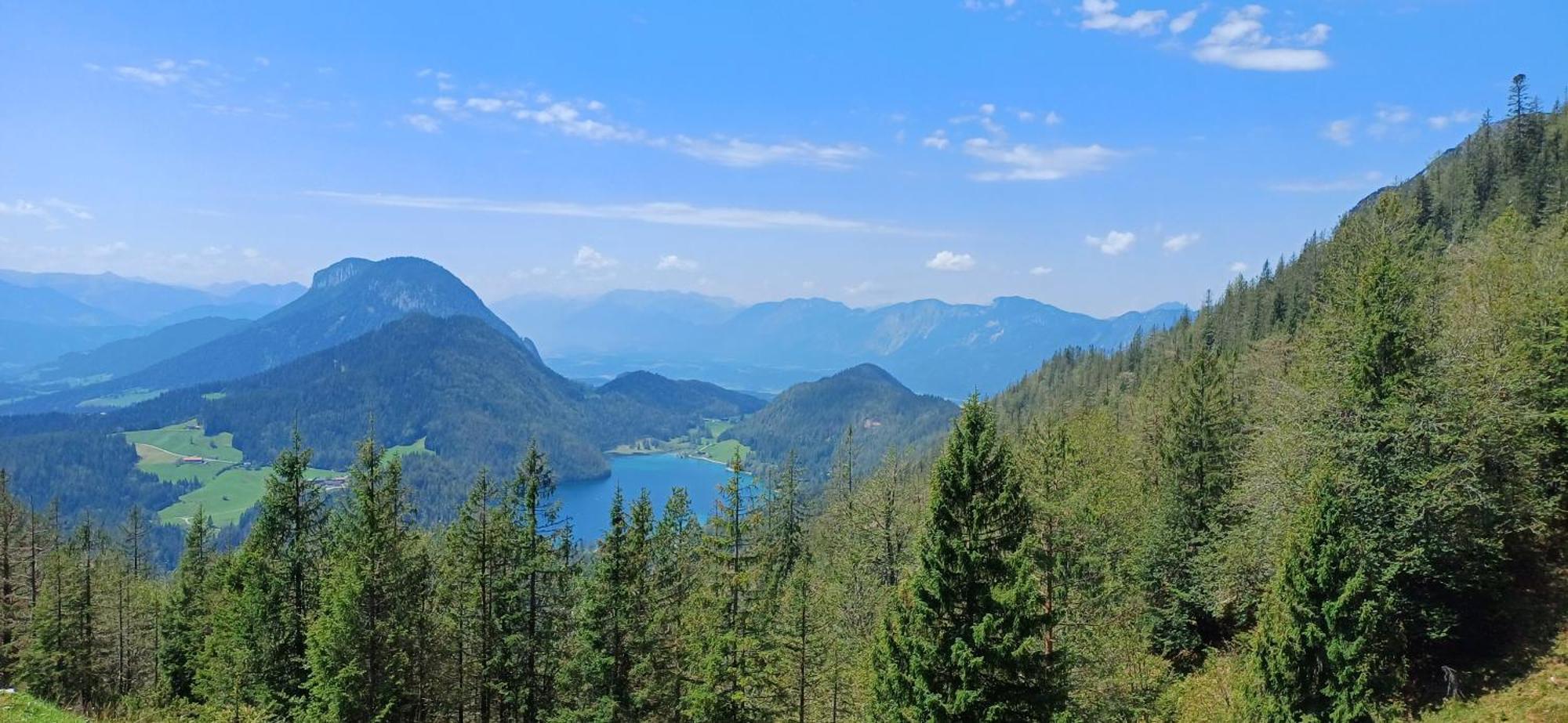 Ferienwohnung Sappl Scheffau am Wilden Kaiser Extérieur photo